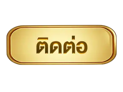 แบนเนอร์ 14